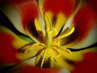 org:/landingpages/8e-prijs scandinavie.jpg